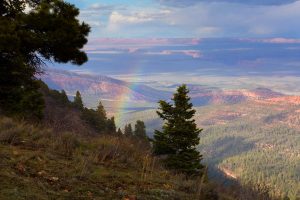Arizona Trail - In Memoriam