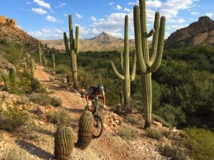 Passage 16: Gila River Canyons – Explore the Arizona Trail