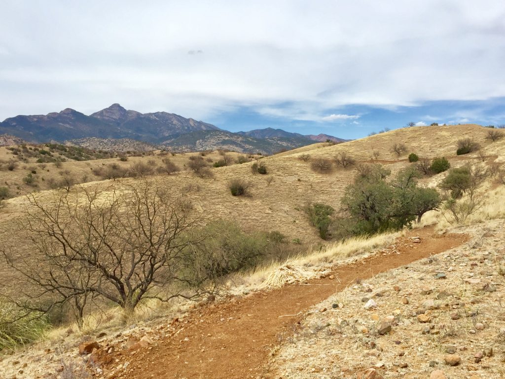 Support the Temporal Gulch Reroute Project