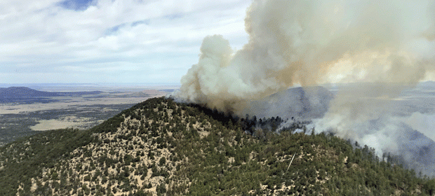 a column of smoke on a forested slope