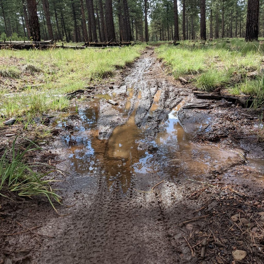 Avoid Wet Trails