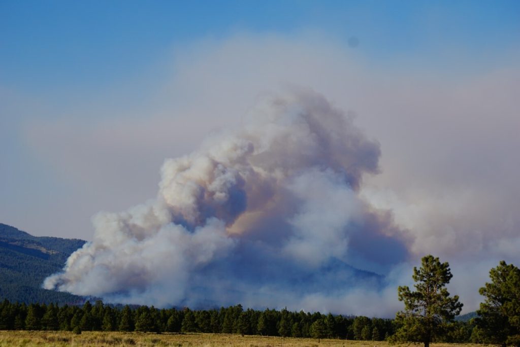 Pipeline Fire Forces Closure of 47 Miles of Arizona Trail Near Flagstaff