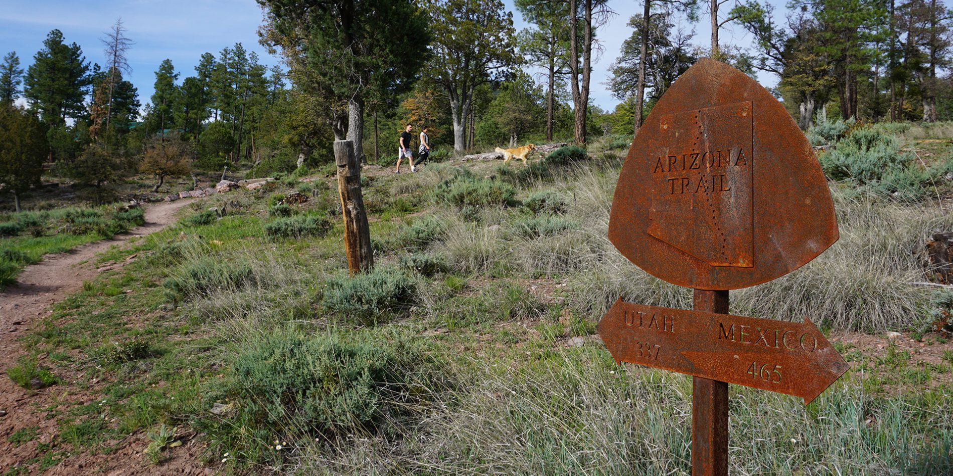 Pine Trailhead Closed During Restoration Project